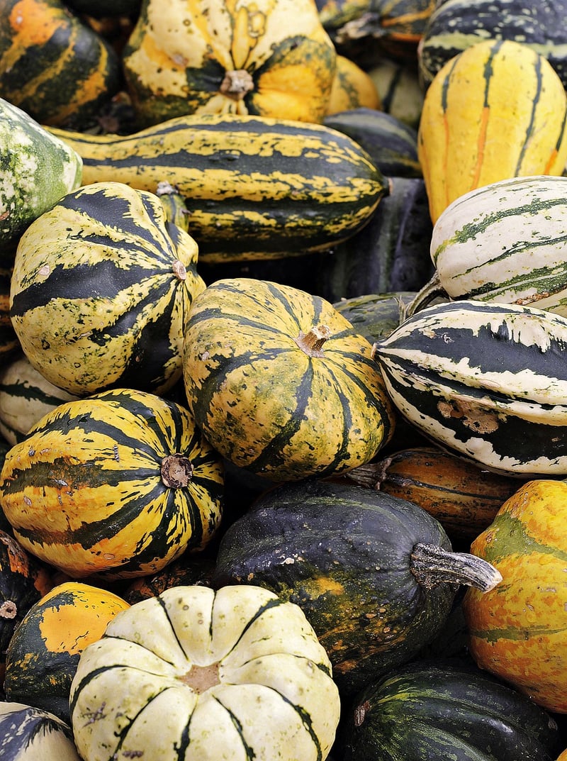 Harvest Celebration